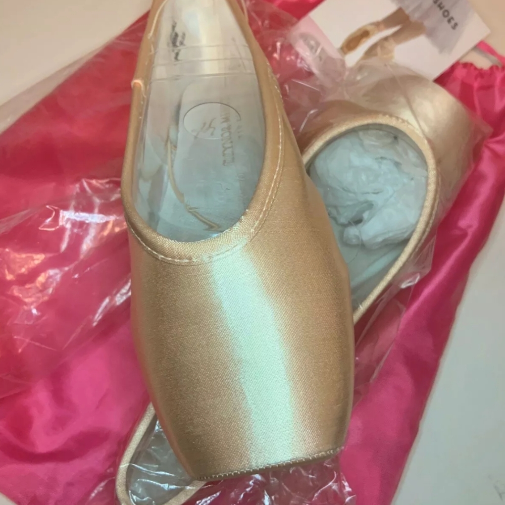 Gaynor Minden Pointe Shoes SK10N4SLL